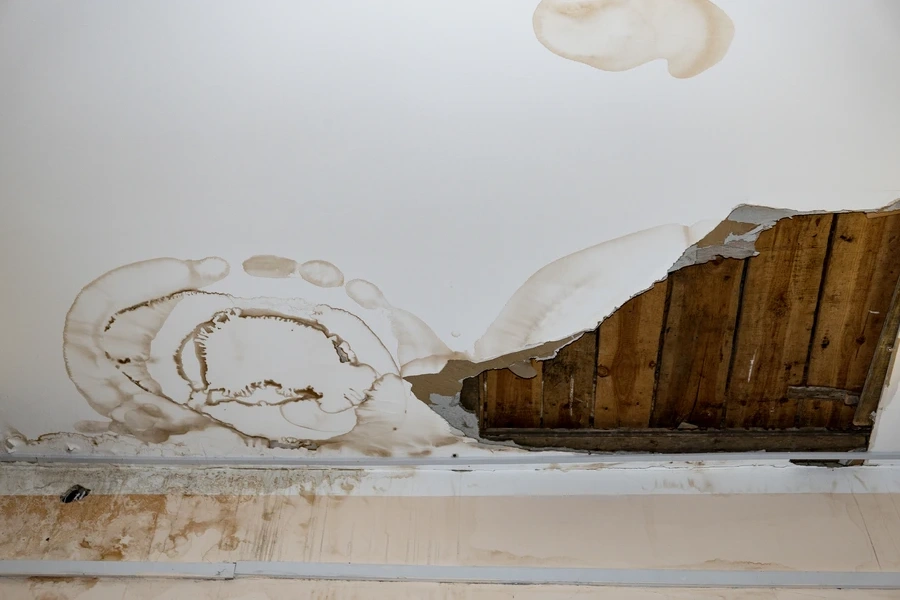 Essential Steps For A Successful Roof Leak Repair Process Brackendale, BC