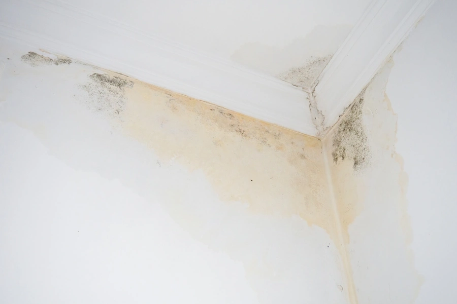 Essential Steps For A Successful Roof Leak Repair Process in Brackendale, BC