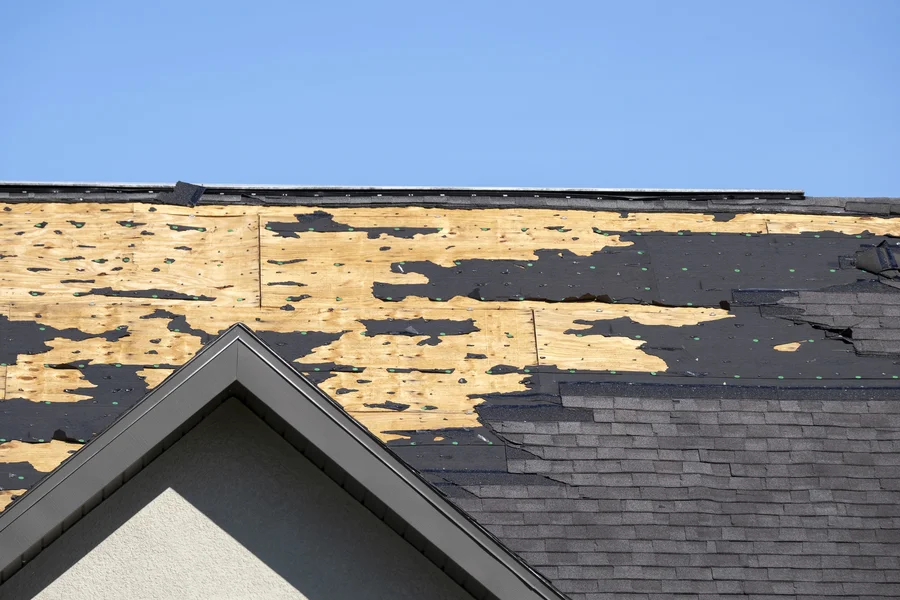 Local Roof Restoration Brackendale, BC