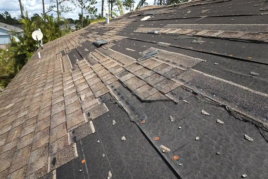 Premium Roof Restoration Brackendale, BC