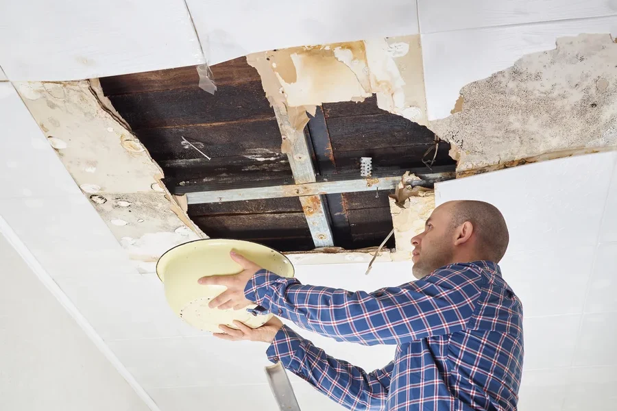 Superior Roof Leak Repair Brackendale, BC