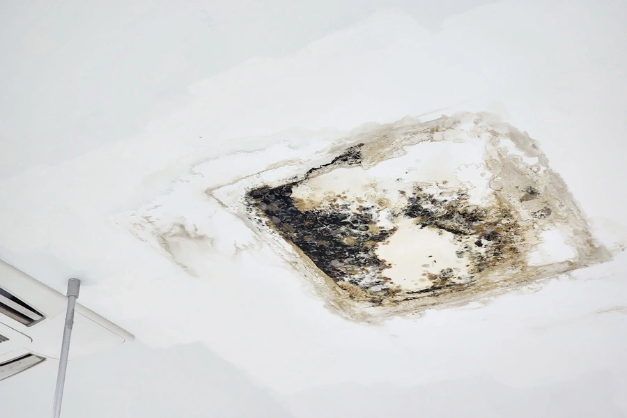 The Importance Of Timely Roof Leak Repair For Home Safety Qualicum Beach, BC