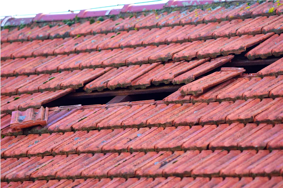 Why Roof Restoration Is Better Than Frequent Repairs in Brackendale, BC